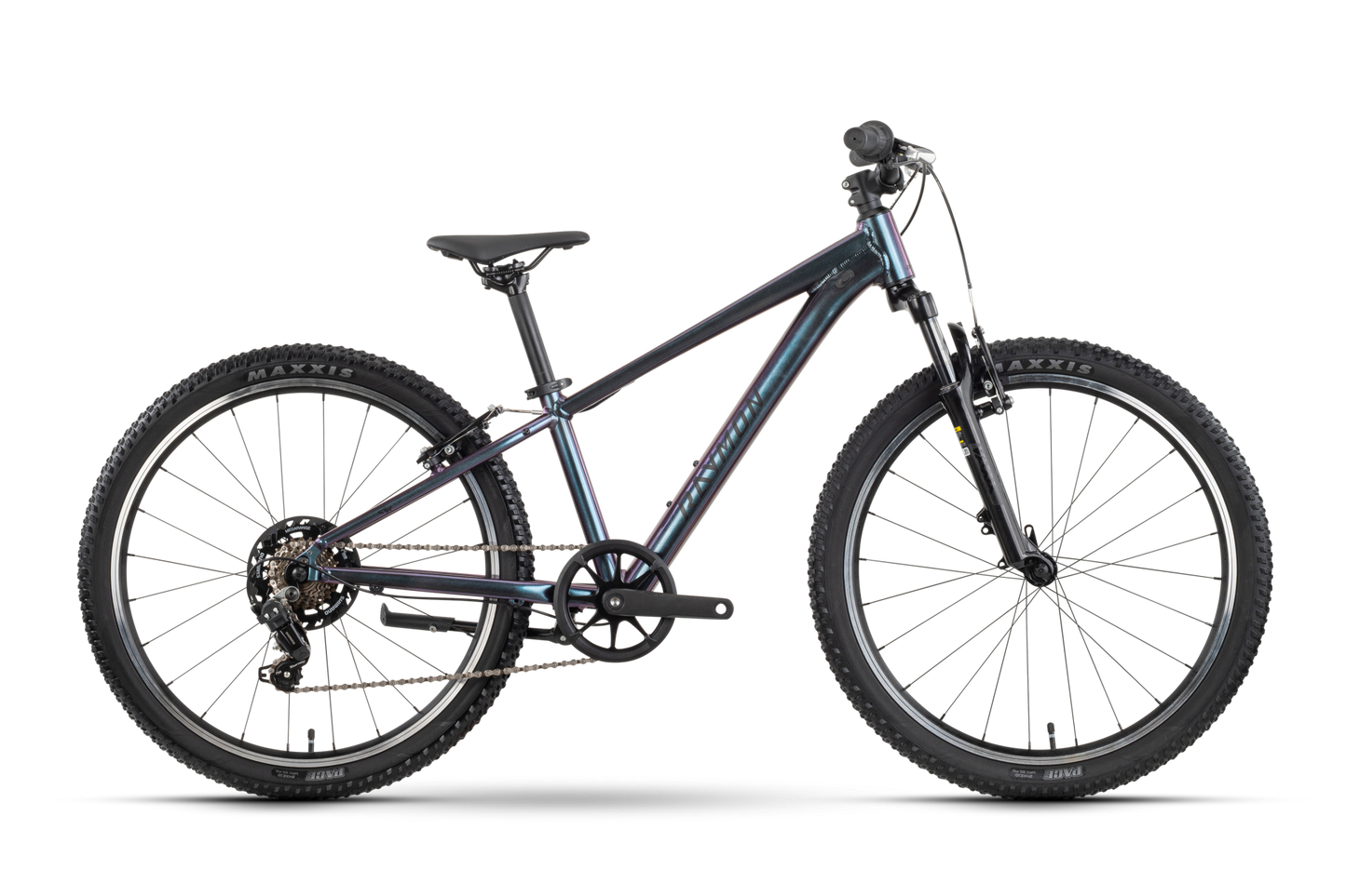 Nayta 24 Comp