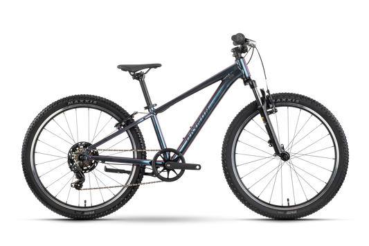 Nayta 24 Comp